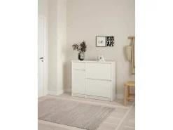 Móvel De Arrumação|Sapateira*Dmora Sapateira Dtrainin, Sapateira, Armário de entrada multiusos, Sapateira, 109x32 h93 cm, Branco