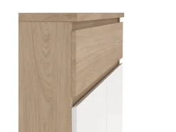 Dmora Sapateira Dtravers, Sapateira, Armário de entrada multiusos, Sapateira, 80x40 h111 cm, Carvalho e Branco^ Móvel De Arrumação|Sapateira