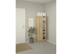 Dmora Sapateira Dtrebb, Sapateira, Armário de entrada multiusos, Sapateira, 69x35 h170 cm, Carvalho^ Móvel De Arrumação|Sapateira