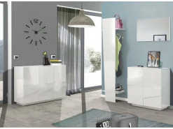Móvel De Arrumação|Sapateira*Dmora Sapateira Joel, Armário multiuso com 2 portas, Sapateira de entrada, 100% Fabricado na Itália, 81x38h86 cm, brilhante com detalhe Branco