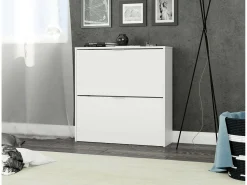 Móvel De Arrumação|Sapateira|Dmora Sapateira Louisville, Sapateira com 2 portas dobráveis, Sapateira de entrada baixa, Armário baixo, 75x22h76 cm, Branco