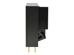 Móvel De Arrumação|Sapateira* Sapateira moderna com frentes brilhantes, portas de prateleiras ajustáveis, LEDs coloridos, preta Preto
