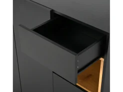 Móvel De Arrumação|Sapateira| Sapateira preta com iluminação LED - Sapateira com 3 portas e 1 gaveta - prateleiras ajustáveis Preto