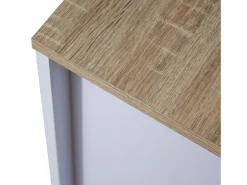 Móvel De Arrumação|Sapateira* Sapateira Tivoli com 2 gavetas dobráveis, melamina branca, 81x74x24 cm Branco