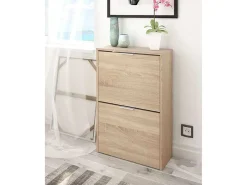 Móvel De Arrumação|Sapateira*Dmora Sapateira Valdosta, Sapateira economizadora de espaço com 2 portas, Sapateira de entrada, Armário sapateira, 50x22h76 cm, Carvalho Castanho