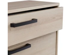 Móvel De Arrumação|Sapateira* Sapateira Watson com 2 portas dobráveis ​​em Waterford e carvalho Kronberge, 79,6 x 102,4 x 29,4 cm Preto