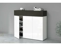 Móvel De Arrumação|Sapateira*Dmora ScarpIera Dcanestrell, Suporte para sapatos com economia de espaço com 4 portas, Armário de entrada multifuncional, 114x38h100 cm, Branco e Ardósia Cinzento