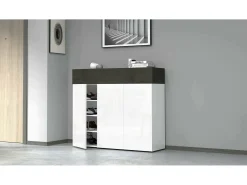 Móvel De Arrumação|Sapateira*Dmora ScarpIera Dcanestrell, Suporte para sapatos com economia de espaço com 4 portas, Armário de entrada multifuncional, 114x38h100 cm, Branco e Ardósia Cinzento