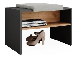 Móvel De Arrumação|Sapateira*Vicco Schuhbank carvalho antracite/goldkraft 60x40x60 orlando Cinza antracite