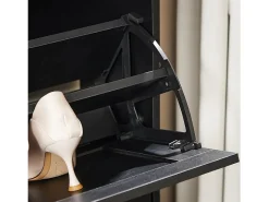 Móvel De Arrumação|Sapateira|Sobuy armário de sapatos, Armário de sapatos estreito, armário para sapatos FSR137-SCH Preto