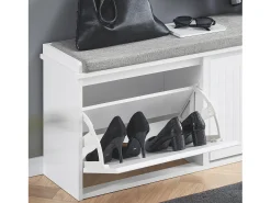Sobuy Armário de sapatos com prateleira, banco, Banco com sapateira FSR98-XL-W Cinzento claro / Branco