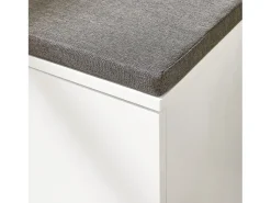 Móvel De Arrumação|Sapateira|Sobuy Armário de sapatos com prateleira, banco, Banco com sapateira FSR117-W Branco