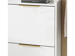 Móvel De Arrumação|Sapateira*Sobuy Sapateira 4 Portas Branca com Design Nórdico e Puxadores Dourados Branco