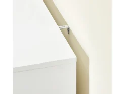 Móvel De Arrumação|Sapateira|Sobuy , suporte para sapatos de entrada, suporte para sapatos, prateleira de sapatos estreita, FSR189-WN Branco