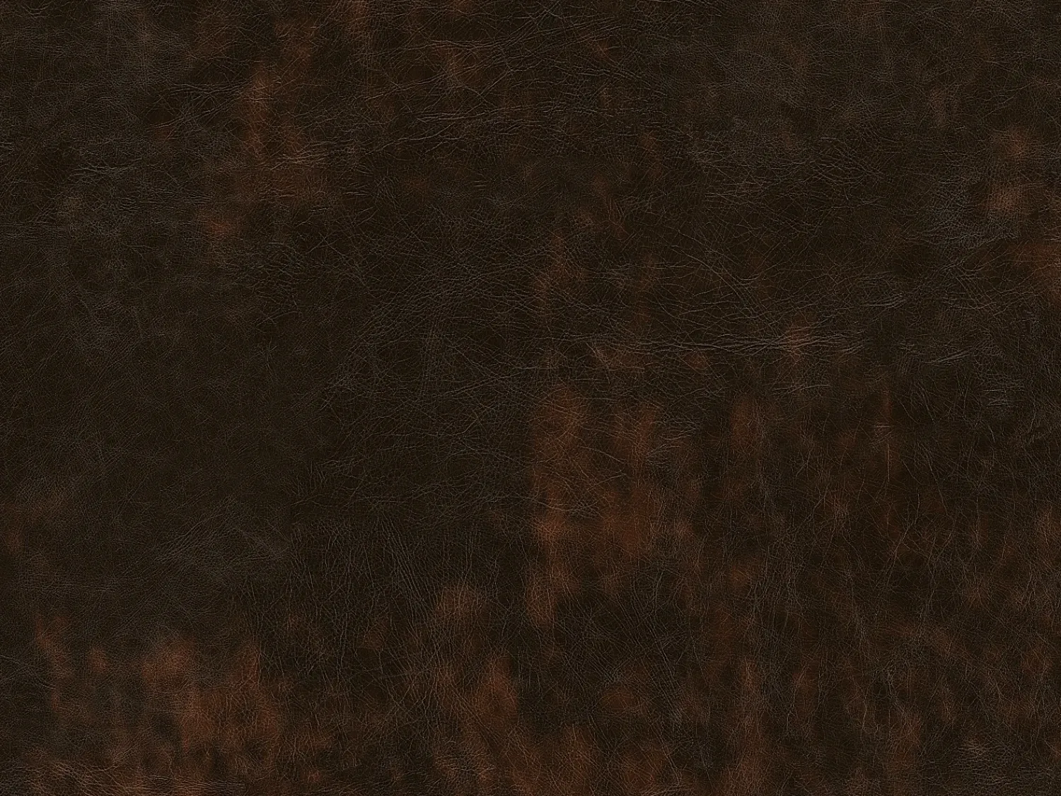 New LINEA SOFA Sofá 2 lugares 100% pele de búfalo Castanho estilo chesterfield - BRENTON Castanho chocolate