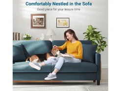 DripeX Sofá de 3 lugares em Teddy Velvet, sofá de conforto à direita em madeira maciça, amossa com apoios de braços, 193x79x89cm, -cinza-cinza^ Sofá