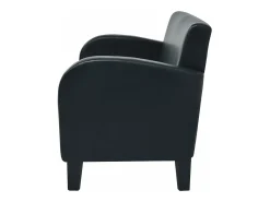Sofá|Helloshop26 Sofá de 2 lugares para sala de estar decoração de interiores couro sintético 02_0020738 Preto