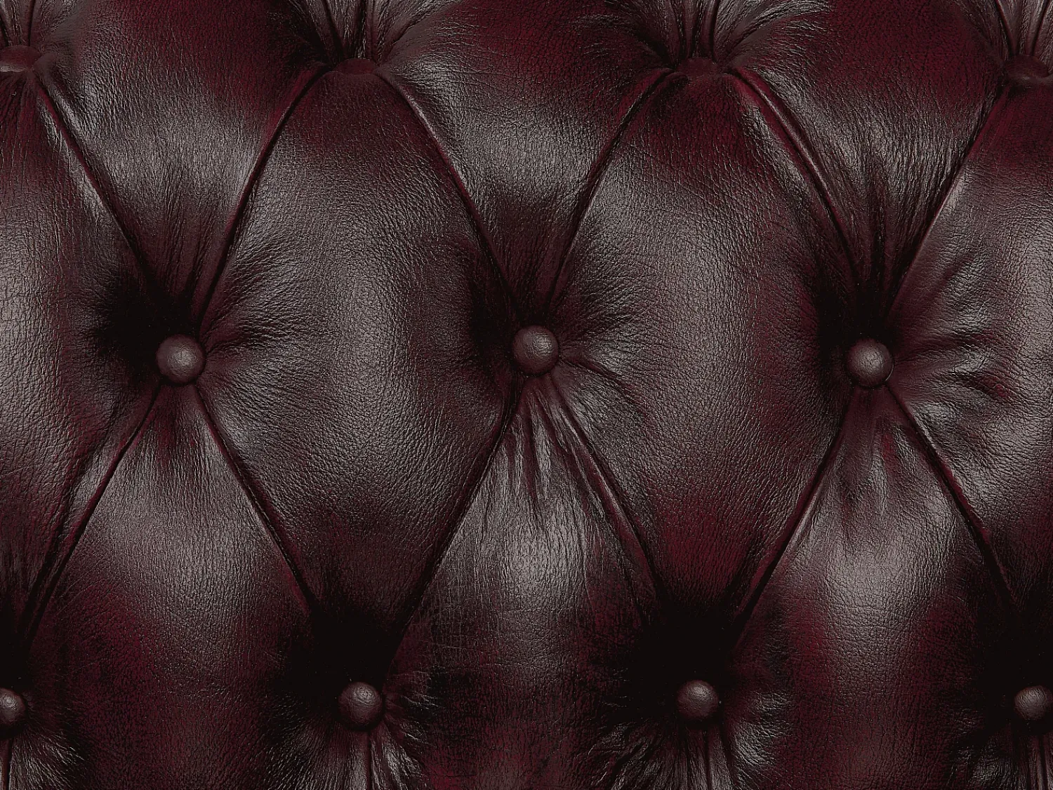 Sofá|LINEA SOFA Sofá de canto direito chesterfield 100% pele BRENTON Castanho chocolate