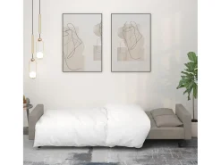 Sofá| Sofá-cama 2 lugares com duas almofadas veludo -claro PT606818 Cinzento