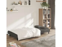 Sofá* Sofá-cama 2 lugares com duas almofadas veludo -escuro PT108146 Cinzento