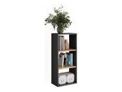 Prateleira*Vicco Standregal carvalho antracite/goldkraft 40x24x90.5 orlando Cinza antracite