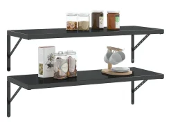 Prateleira| Suportes prateleira 4pcs 40x2,5x25 cm aço inoxidável PT251453 Preto