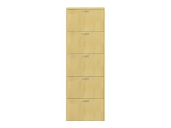 Móvel De Arrumação|Sapateira|VCM Madeira Prateleira Kipper Sapato Sapato Sapato Sapato Tipper 5 Sulos XL (Carvalho Mel) Castanho