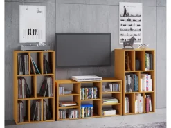 Prateleira*VCM Wooden Record Shelf | Divisor de Sala | Dimensões A. 120 x L. 60 x P. 40 cm | Prateleira de Mídia - Schalino (Beech) Multicor