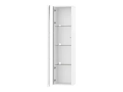 Hauss Spole Vitrine com porta em acrílico e iluminação LED - prateleiras em vidro - 40 x 29 x 170 cm^ Vitrina