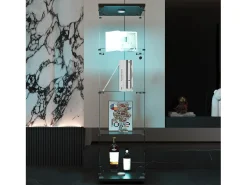 Vitrina| Vitrine de vidro com 4 prateleiras, LED, 1 porta, 164x42x36 cm, armário de coleta, , transparente Preto