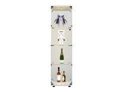 Vitrine de vidro com 4 prateleiras, LED, 1 porta, 164x42x36 cm, armário de coleta, , transparente^ Vitrina