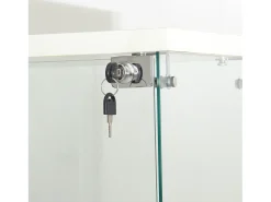Vitrine de vidro com 4 prateleiras, LED, 1 porta, 164x42x36 cm, armário de coleta, , transparente^ Vitrina