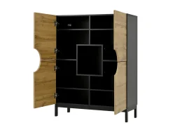 Vitrina* Vitrine e sapateira 2 em 1 – Design moderno com prateleiras ajustáveis e amplo espaço de armazenamento. Preto