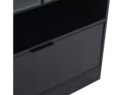 Hot ModernLuxe Vitrine LED moderna 80x120x35 cm - com iluminação LED 16 cores - com 2 portas de vidro - com compartimentos de armazenamento - Preto